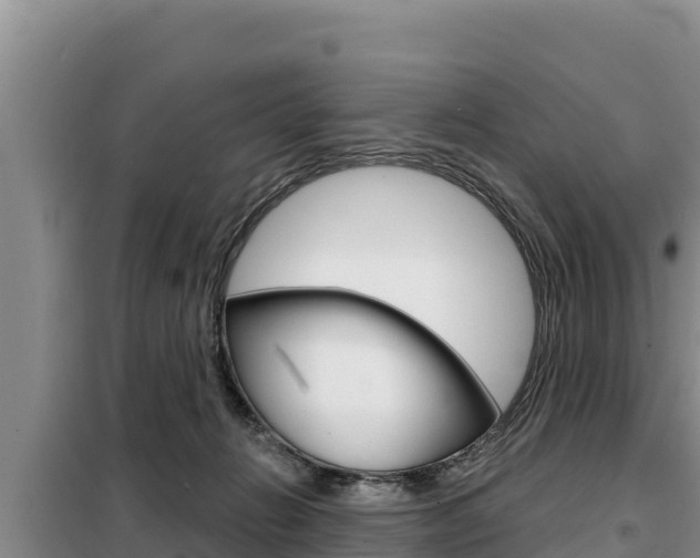 X0000099420270200805090758