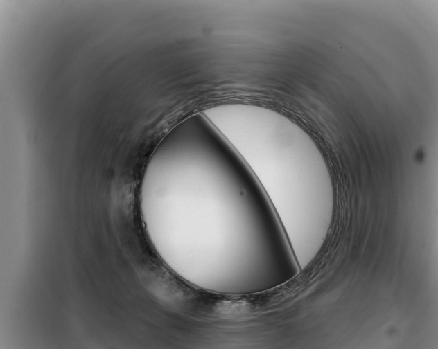 X0000099420271200805090758