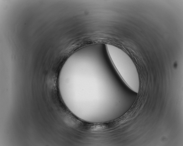 X0000099420274200805090758
