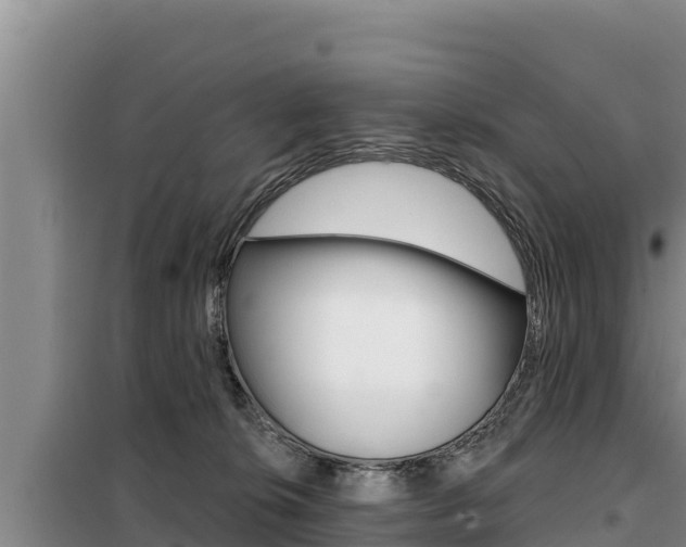 X0000099420276200805090758