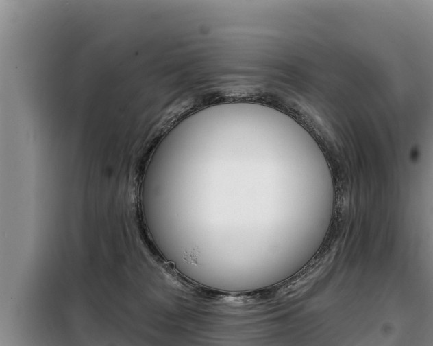 X0000099420277200805090758