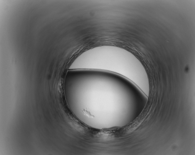 X0000099420280200805090758