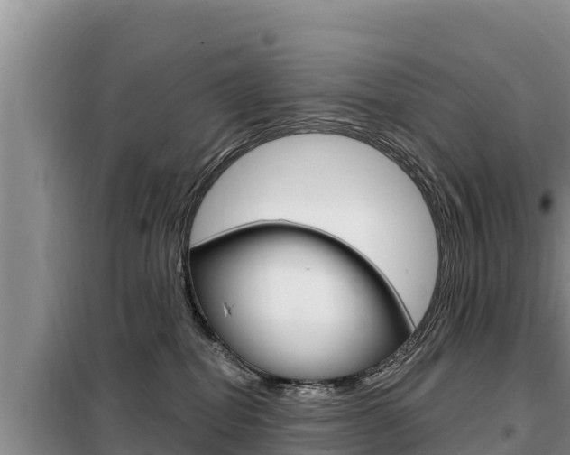 X0000099420282200805090758