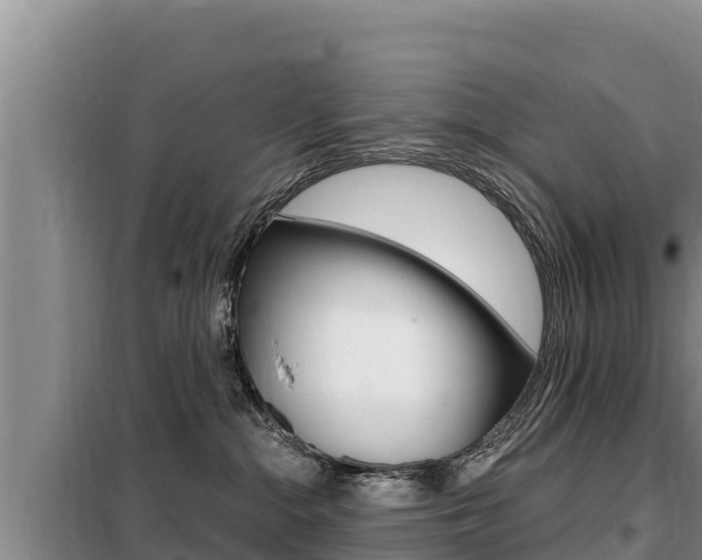 X0000099420284200805090758