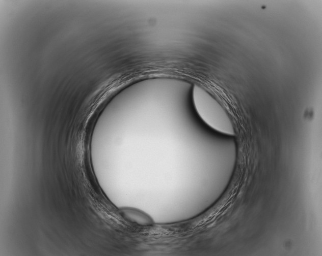 X0000099420290200805090757
