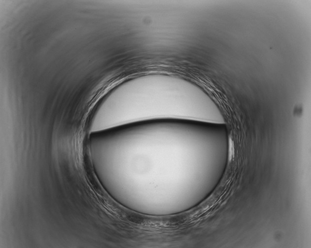 X0000099420291200805090757