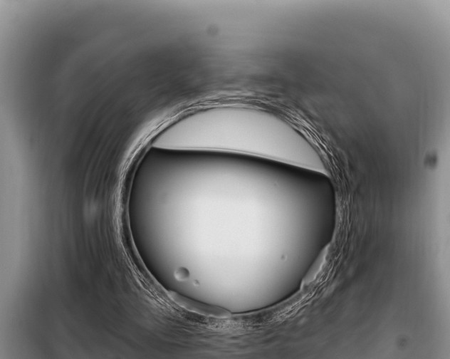 X0000099420293200805090757