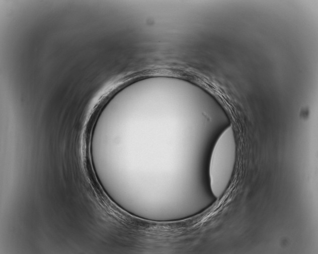 X0000099420294200805090757