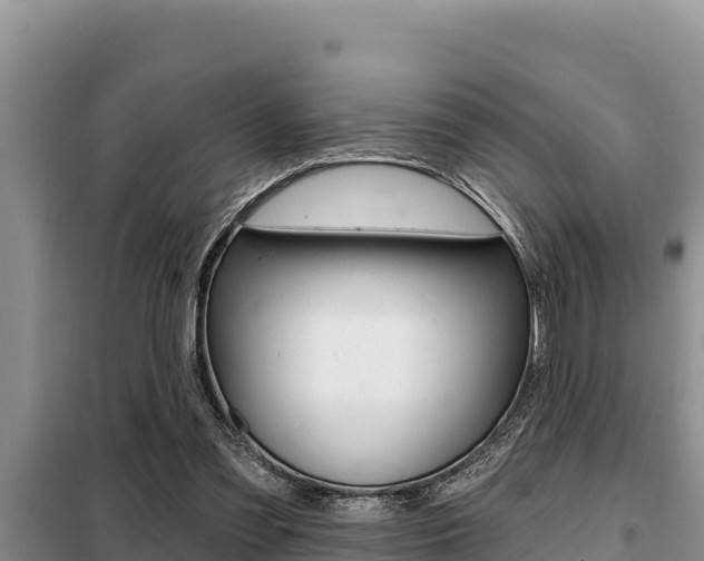 X0000099420301200805090757