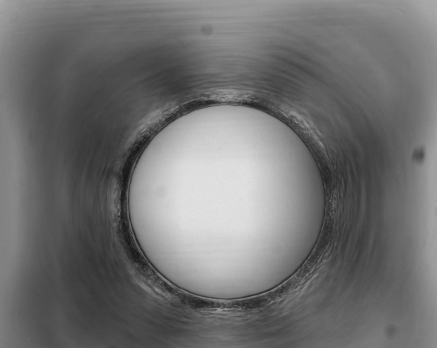 X0000099420303200805090757
