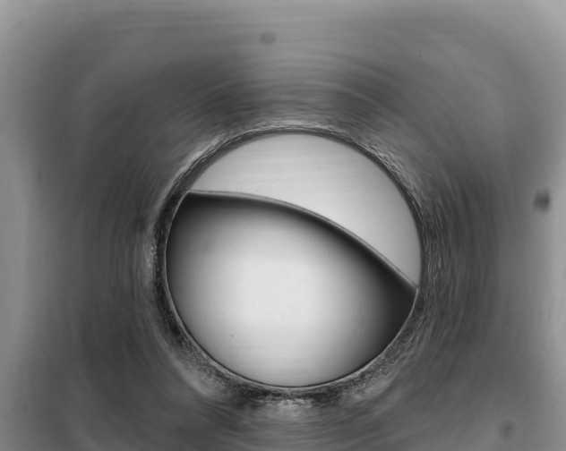 X0000099420304200805090757