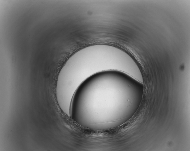 X0000099420307200805090757