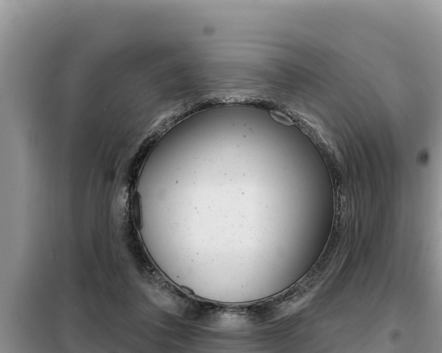 X0000099420308200805090757