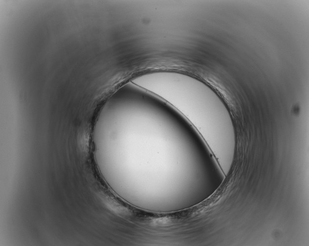 X0000099420309200805090757