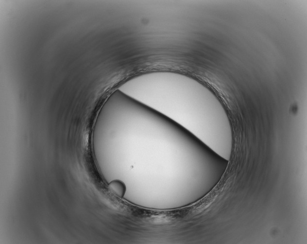 X0000099420310200805090757