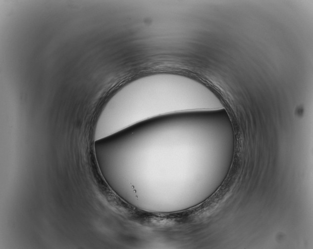 X0000099420311200805090757