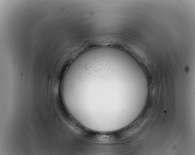 X0000099420315200805090757