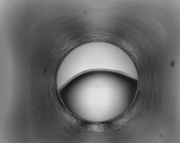 X0000099420317200805090757