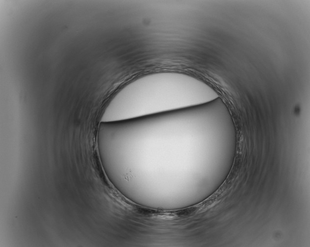 X0000099420318200805090757
