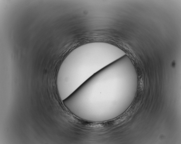 X0000099420322200805090757