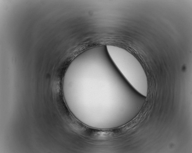 X0000099420323200805090757