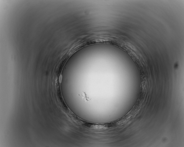 X0000099420327200805090757