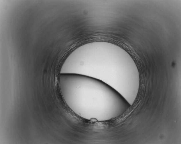 X0000099420330200805090757