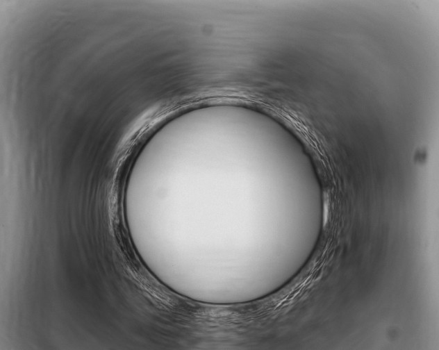 X0000099420339200805090756
