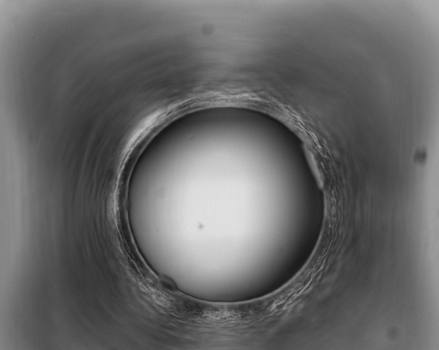 X0000099420340200805090756