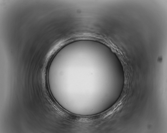 X0000099420341200805090756