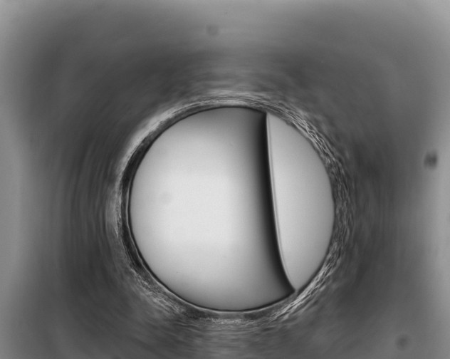 X0000099420342200805090756