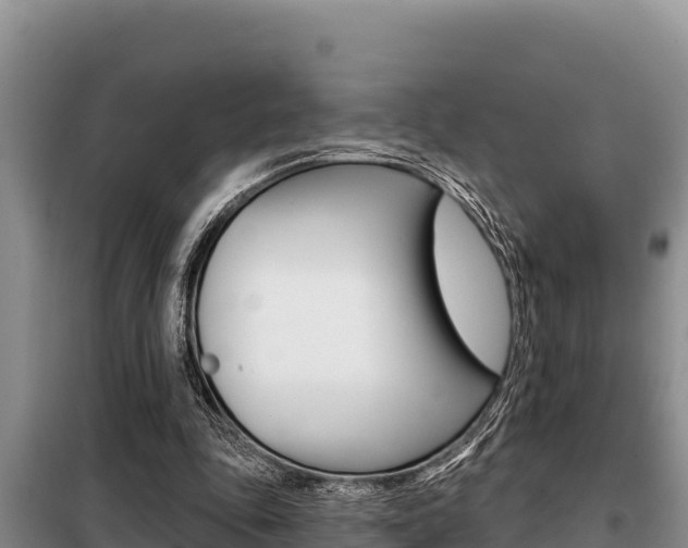 X0000099420343200805090756