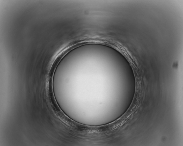 X0000099420344200805090756