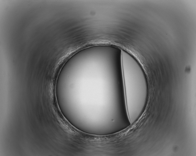 X0000099420345200805090756