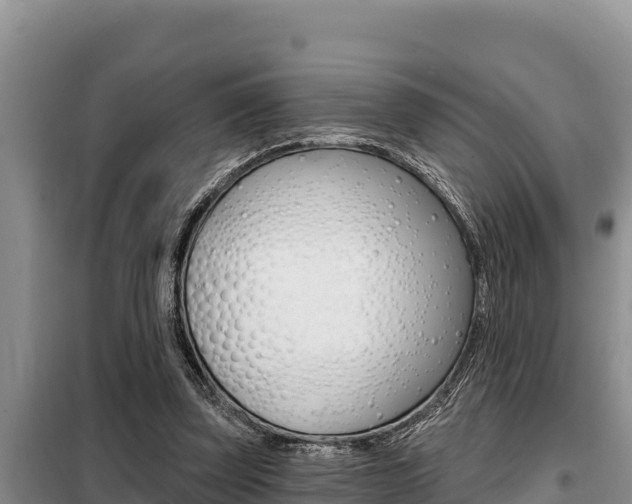 X0000099420347200805090756