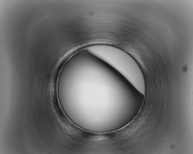 X0000099420348200805090756
