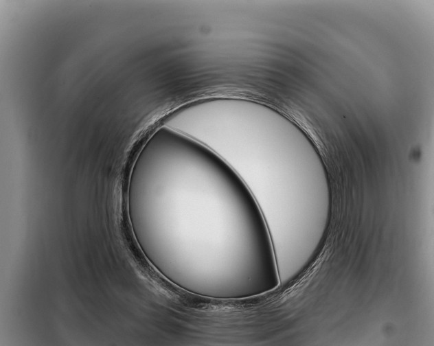 X0000099420349200805090756