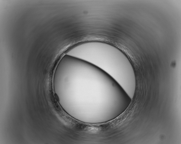 X0000099420352200805090756