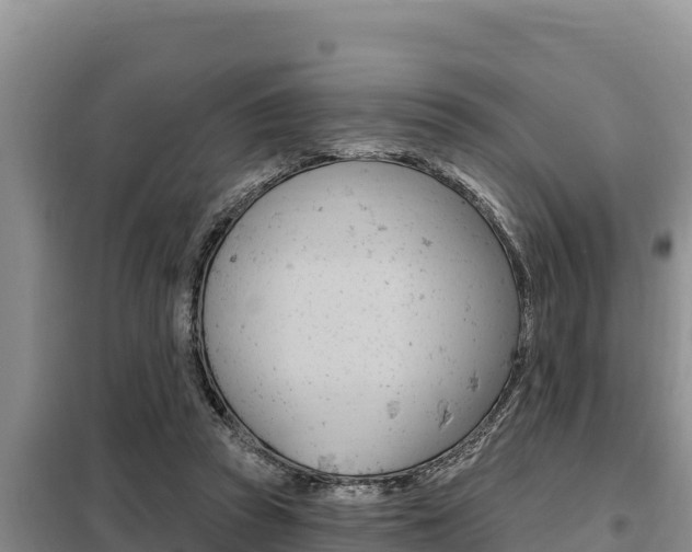 X0000099420353200805090756
