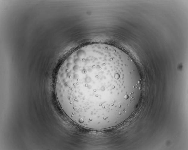 X0000099420354200805090756
