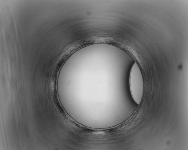 X0000099420357200805090756