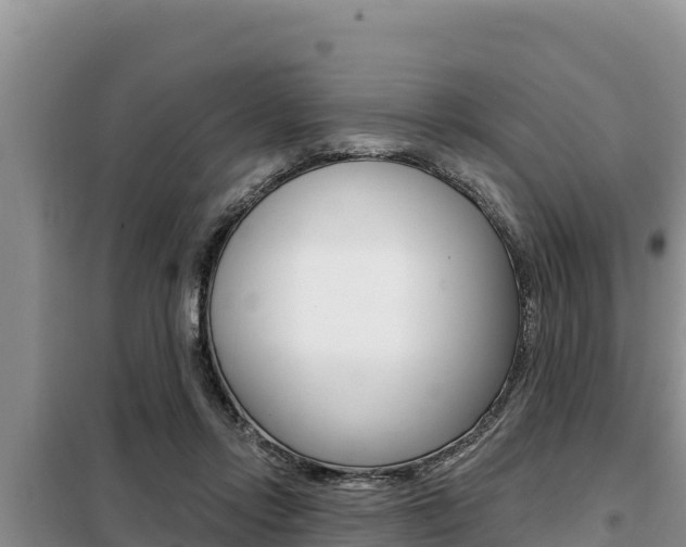 X0000099420358200805090756