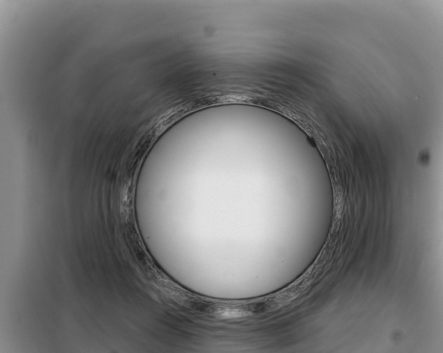 X0000099420360200805090756