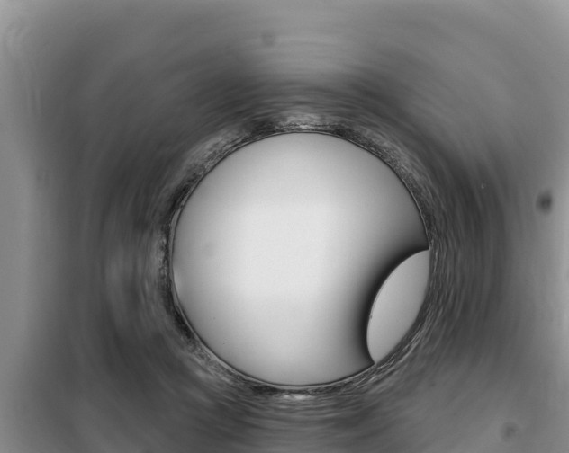 X0000099420361200805090756