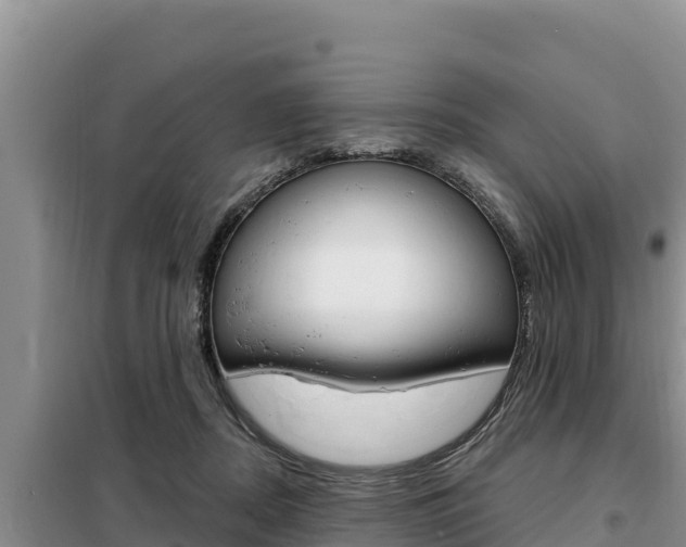 X0000099420362200805090756