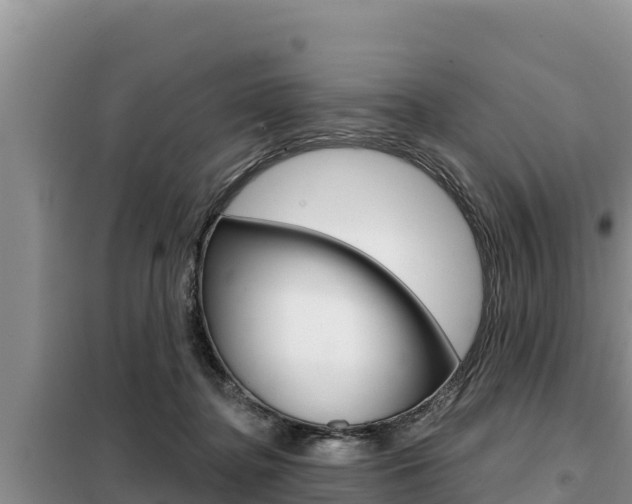X0000099420364200805090756
