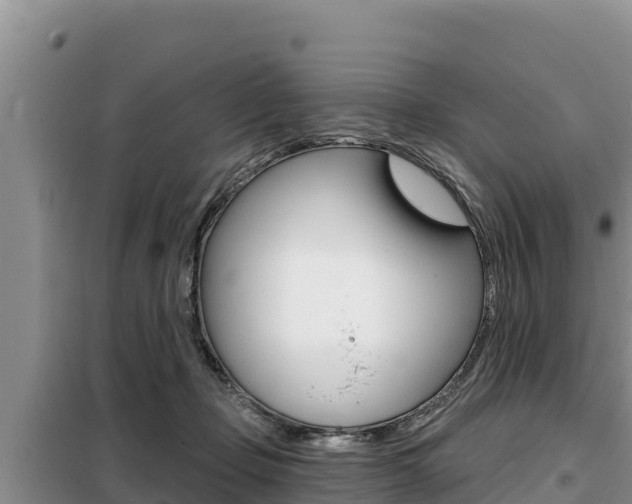 X0000099420365200805090756