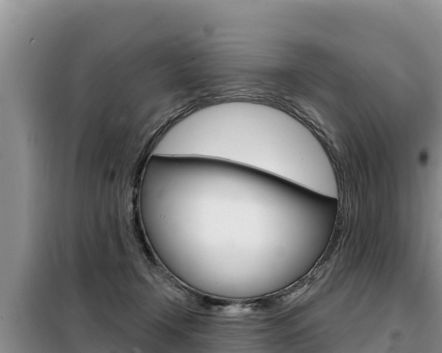 X0000099420366200805090756