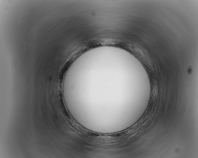 X0000099420367200805090756