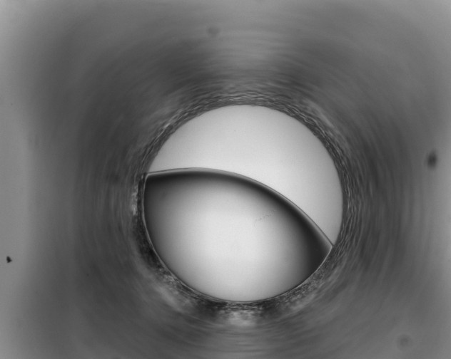 X0000099420368200805090756